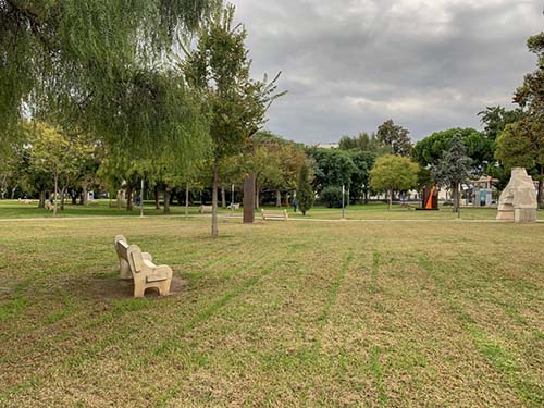 dry lawn and a bench