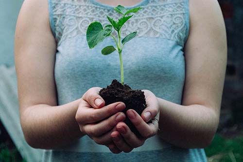 a girl holding a plant in a soil