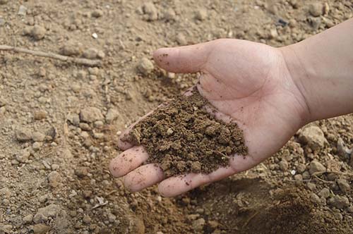 hand with soil